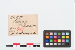 Etiketten zu Bernsteinring (NHMW-PRAE-024932)